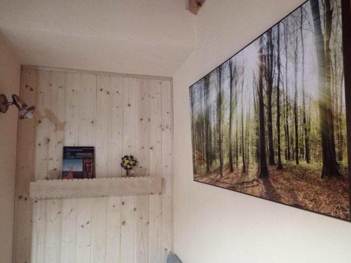 Studio Liptovský Trnovec Extérieur photo